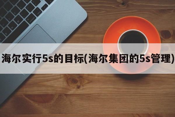 海尔实行5s的目标(海尔集团的5s管理)